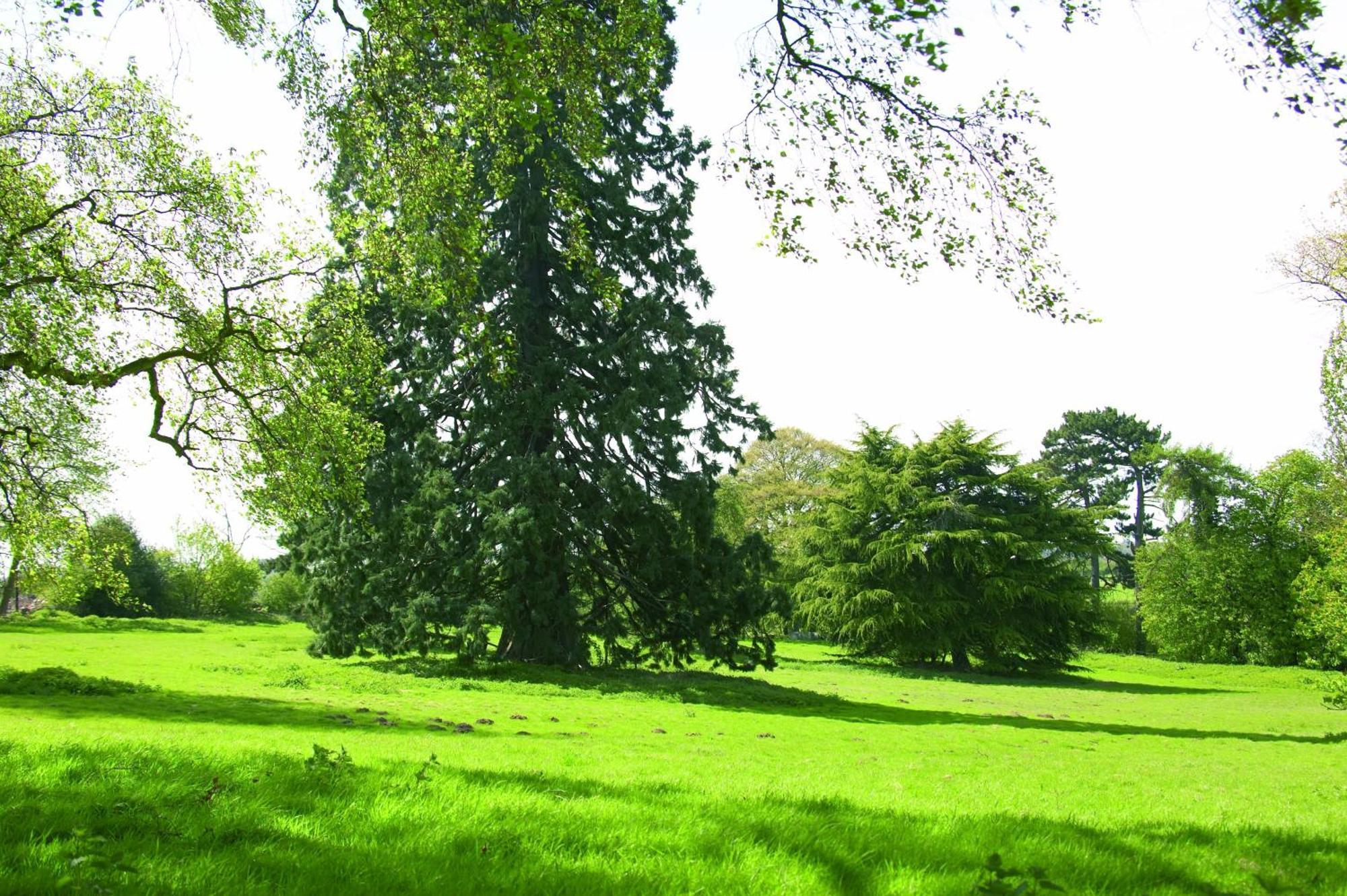 Отель Woodland Grange Lillington  Экстерьер фото