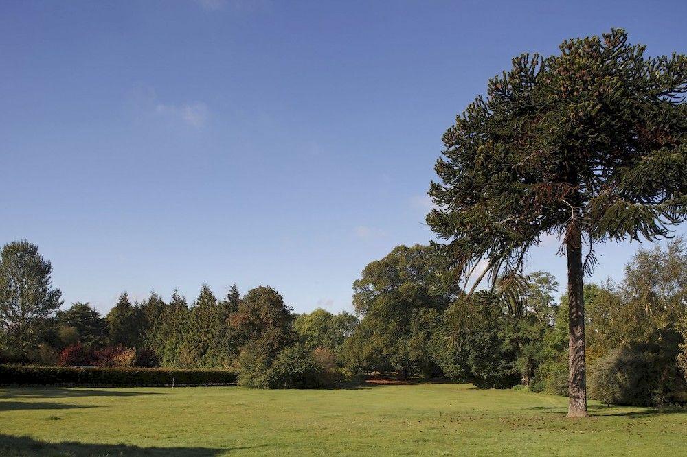Отель Woodland Grange Lillington  Экстерьер фото